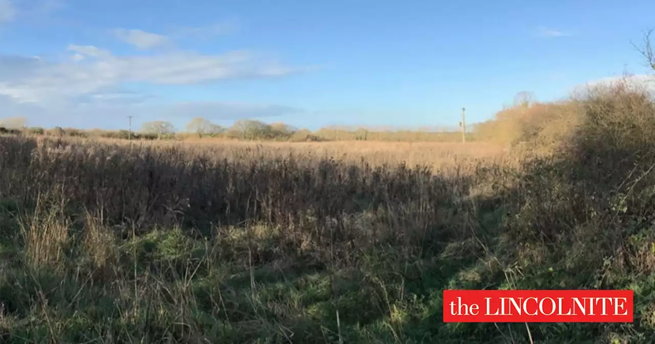 Middle Rasen bungalow development approved in flood zone