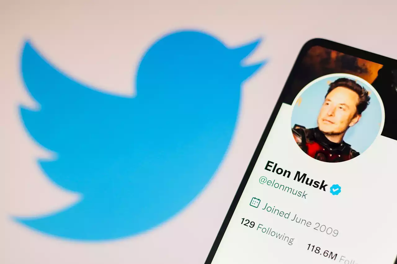 Human Rights Advocates Are Fighting Elon Musk’s 'Amnesty' Plan for Suspended Twitter Users