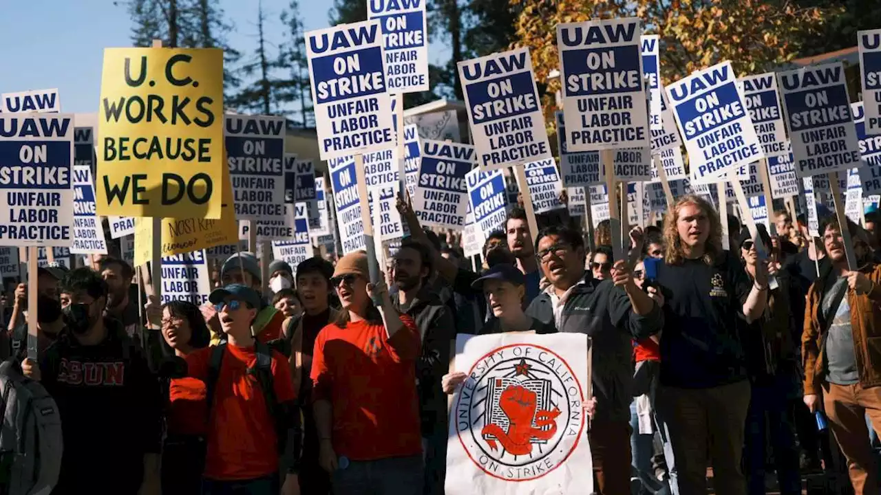 Striking UC Grad Students Speak Out on Largest-Ever Higher Ed Strike in US