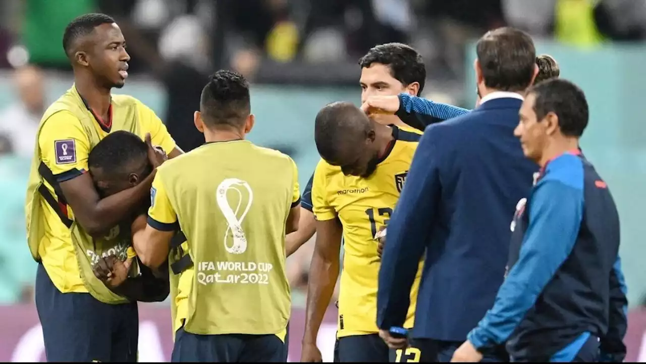 Mundial Qatar 2022 hoy EN VIVO: Enner Valencia se muestra inconsolable tras eliminación