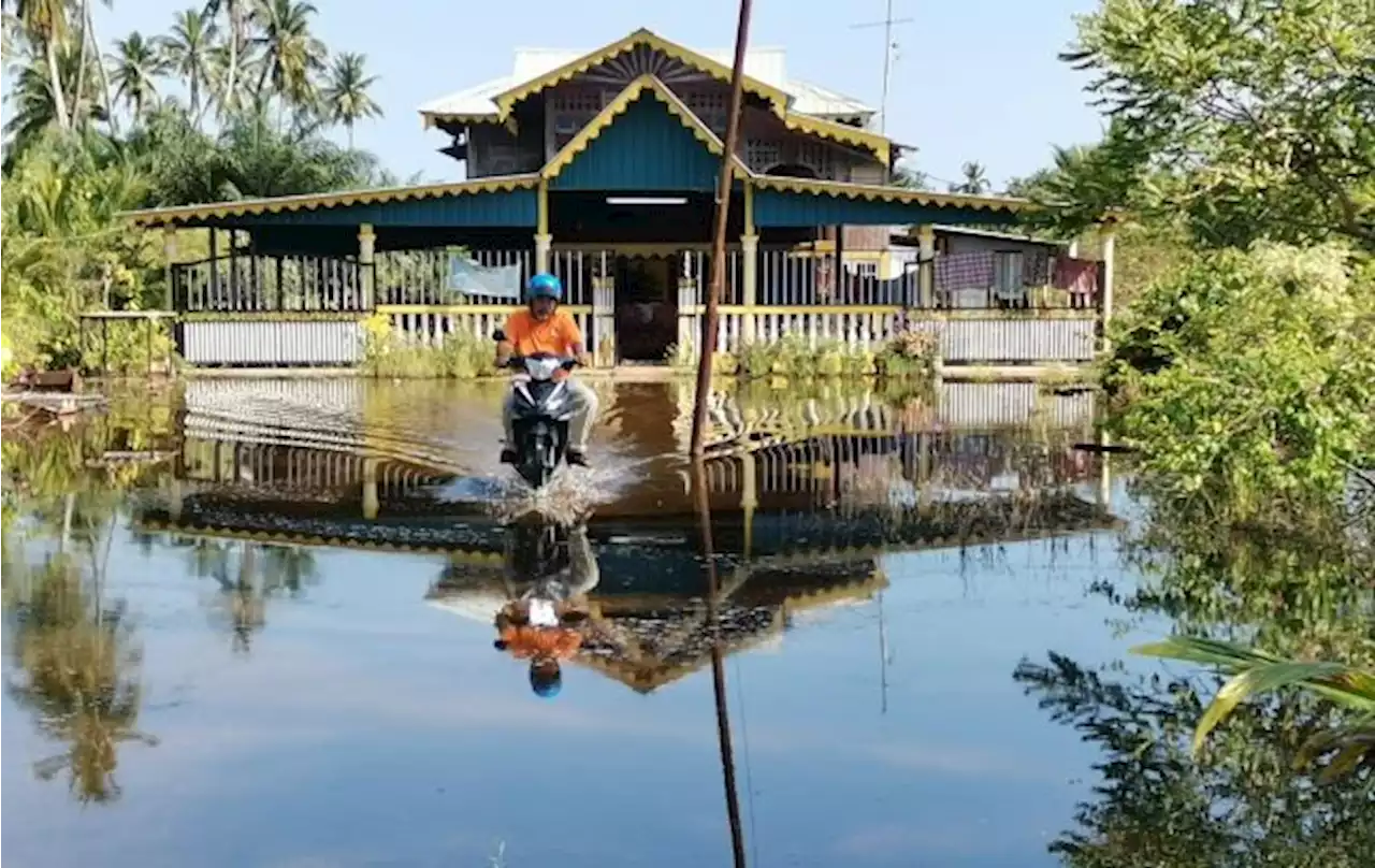 Sengsara hidu bau busuk akibat banjir termenung