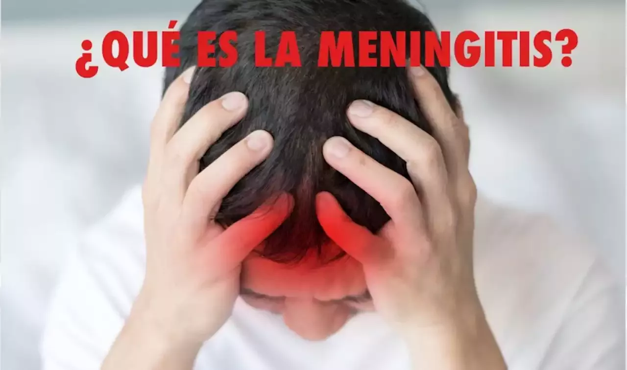 ¿por Qué Es Tan Peligrosa La Meningitis Unam Globalemk 3773