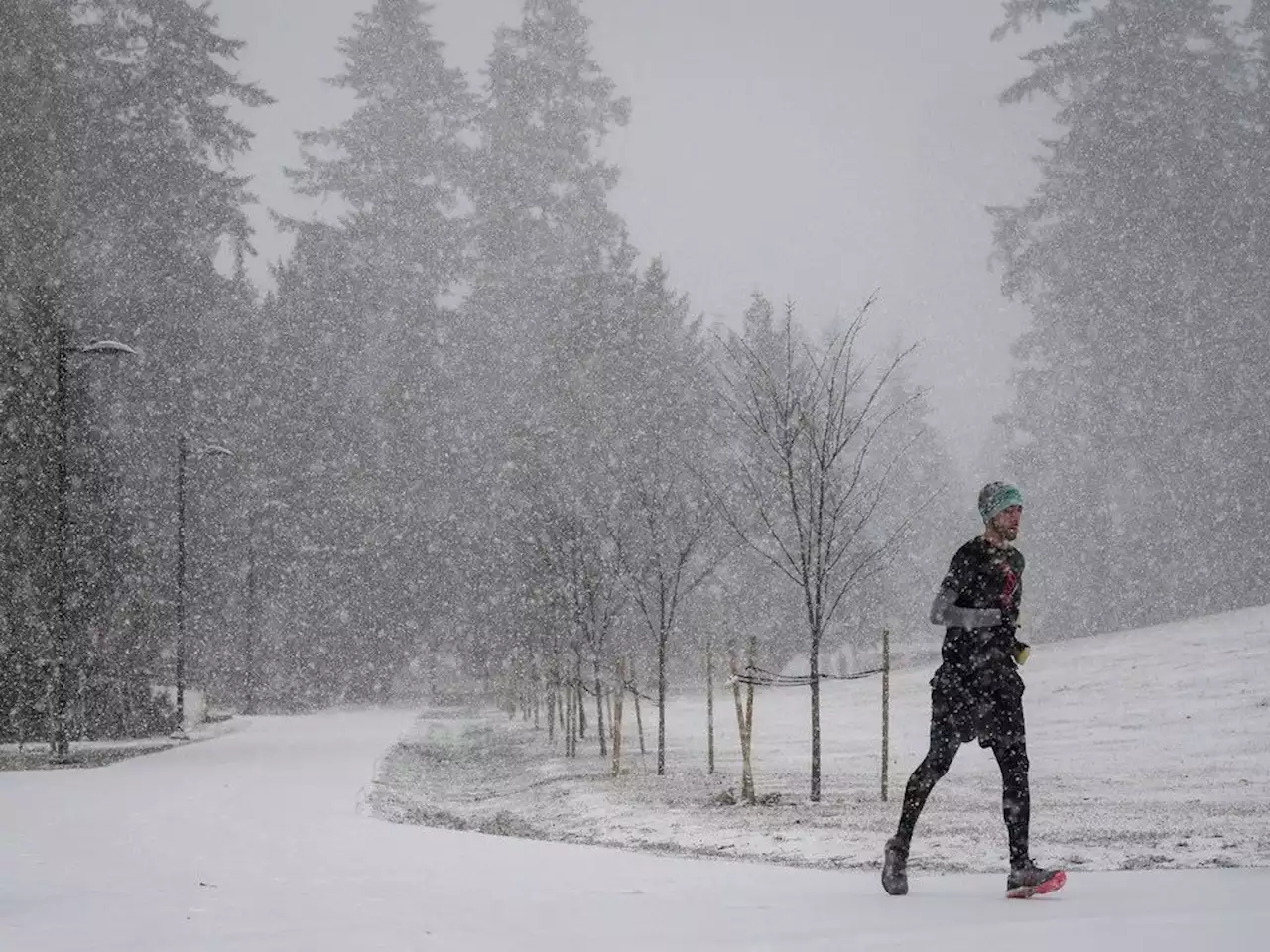 Snowstorm live: Alex Fraser Bridge closed | 34,000 without power | YVR flights, B.C. Ferries cancelled