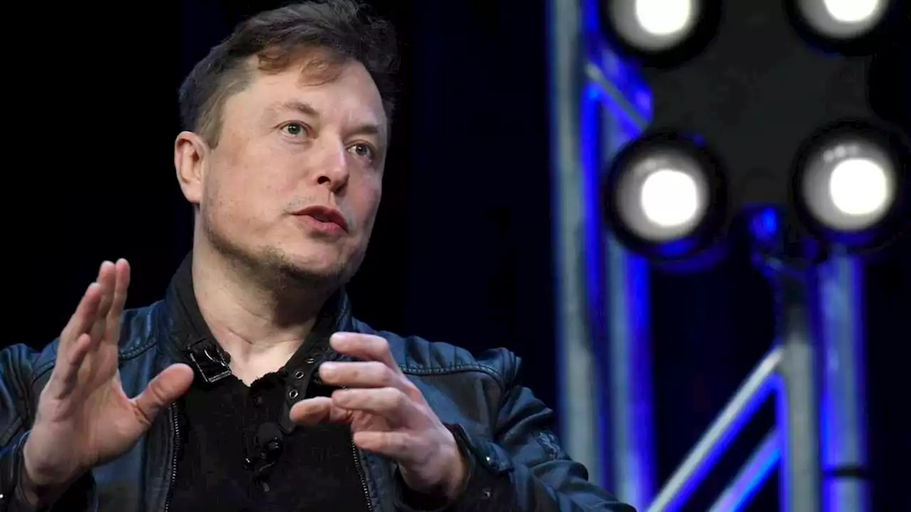 elon musk ist für twitter keine chance, sondern ein problem