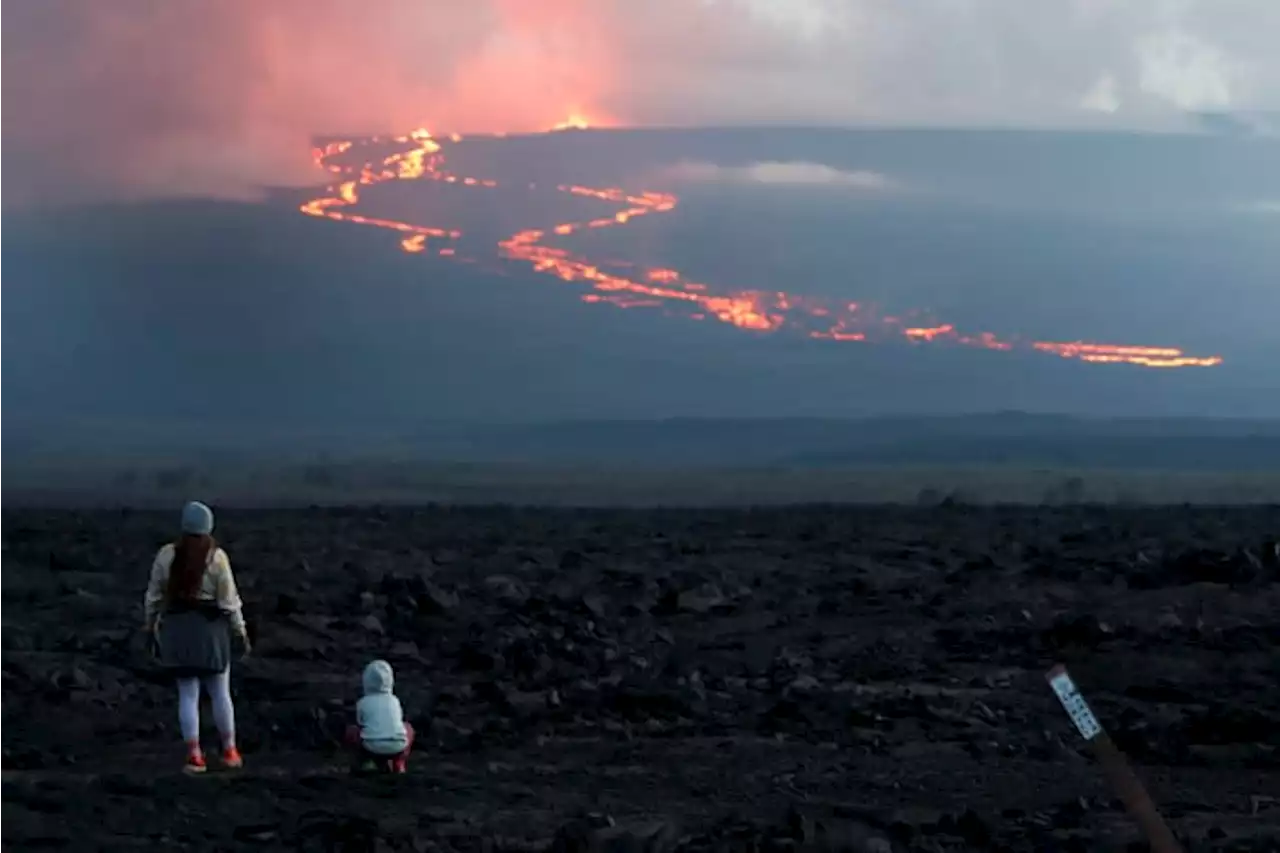 Hawaii volcano eruption has some on alert, draws onlookers