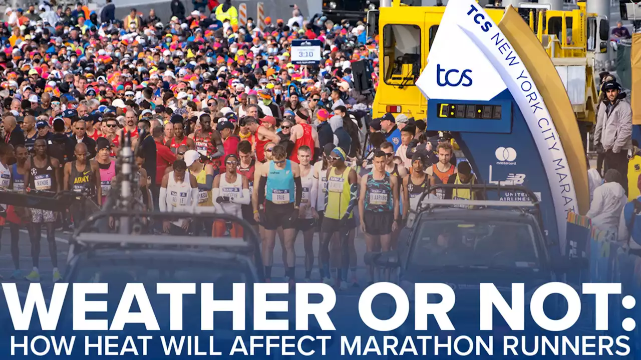 Weather Or Not: TCS New York City Marathon: How will unseasonably warm weather affect runners?