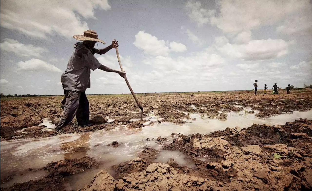 Africa: COP27 Explained By Experts - What Is It and Why Should I Care?