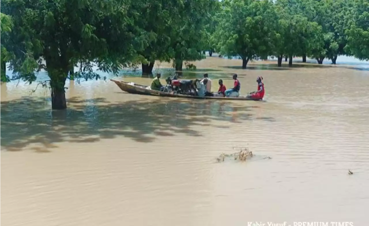 West Africa: #COP27 - Research Identifies Capacities of Nigeria, Ghana, Gambia to Meet Climate Change Pledges