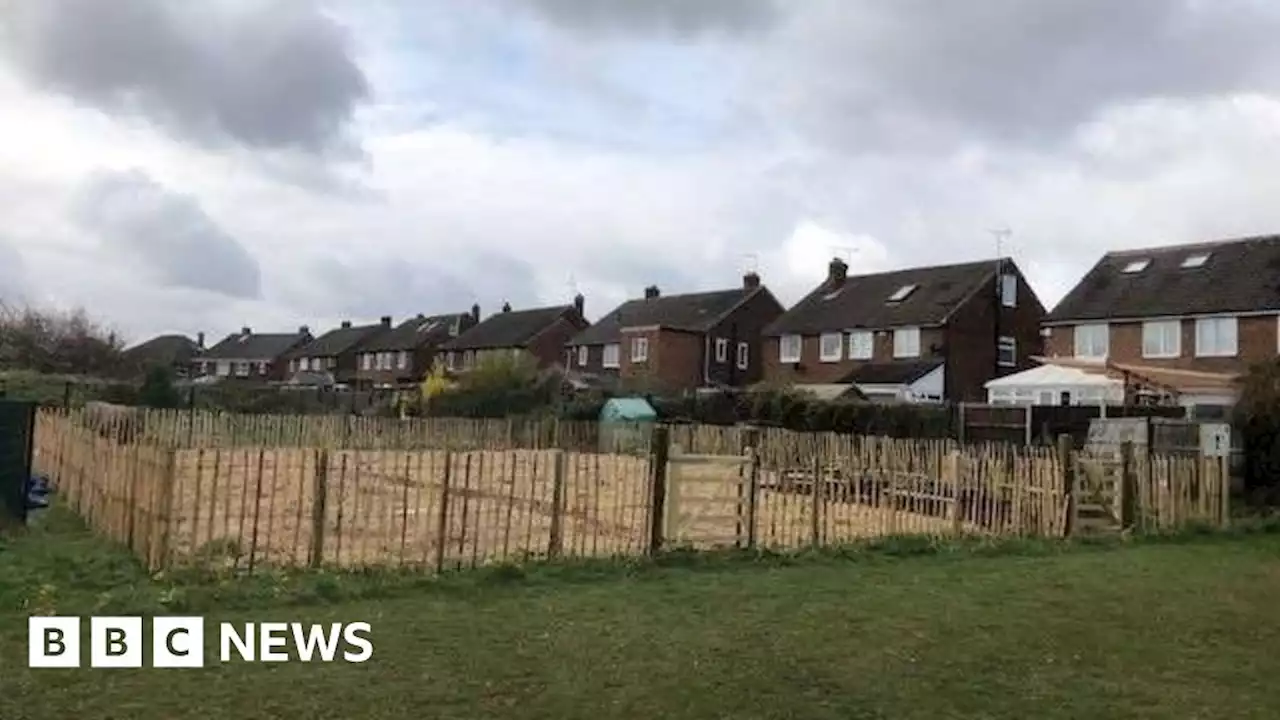 Doncaster Council awarded funds to plant mini-forests at primary schools