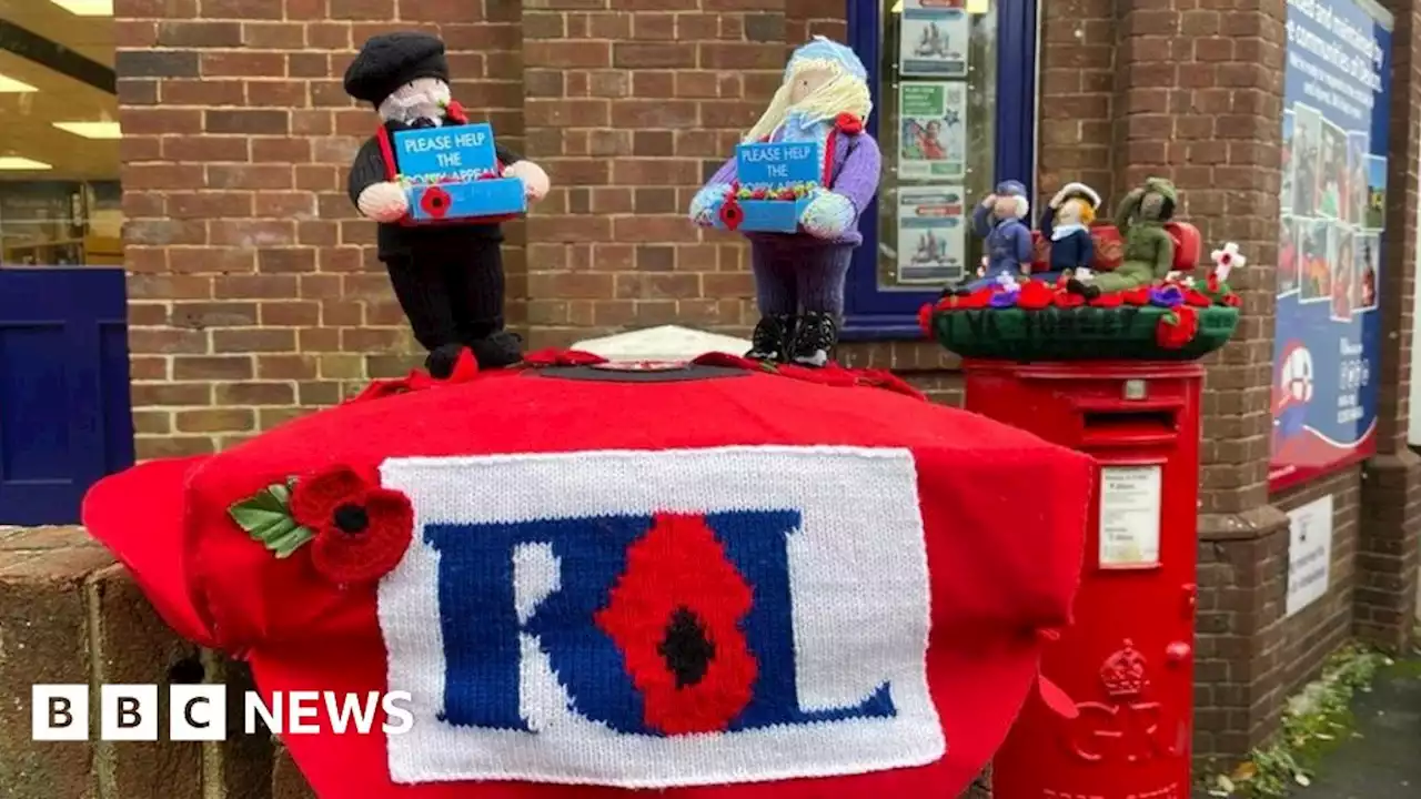 More than 5,000 poppies knitted for Torquay displays