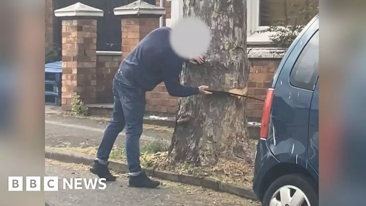 Man cautioned after trying to cut down Kettering tree