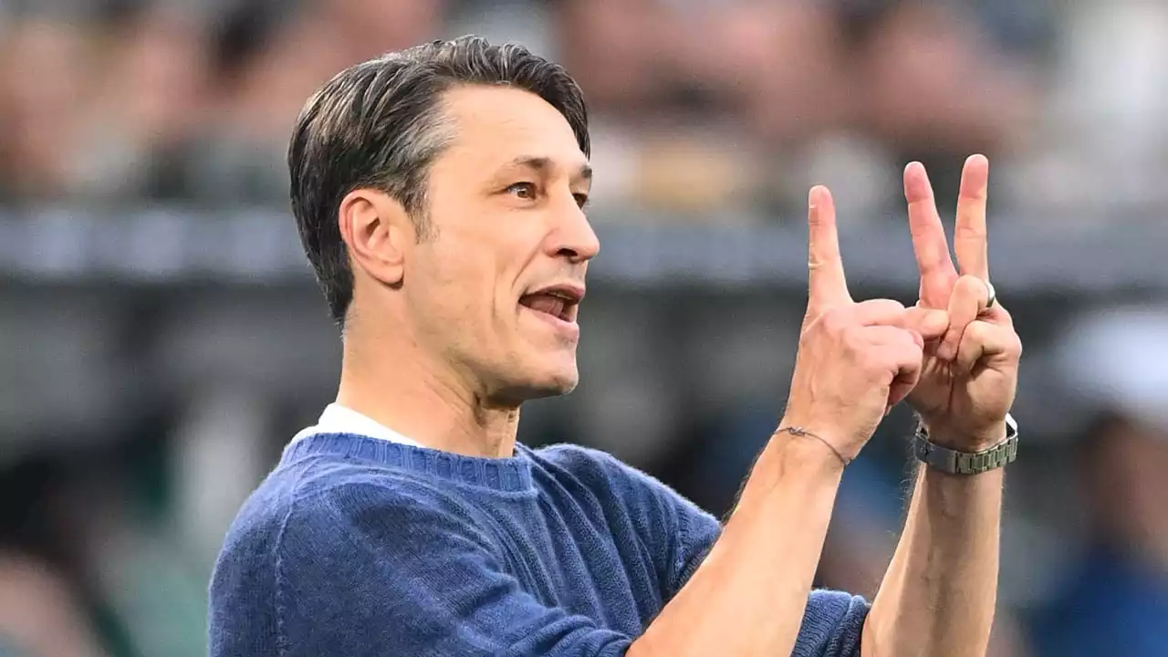 VfL Wolfsburg: Samstag beim FSV Mainz: Niko Kovac will unten raus