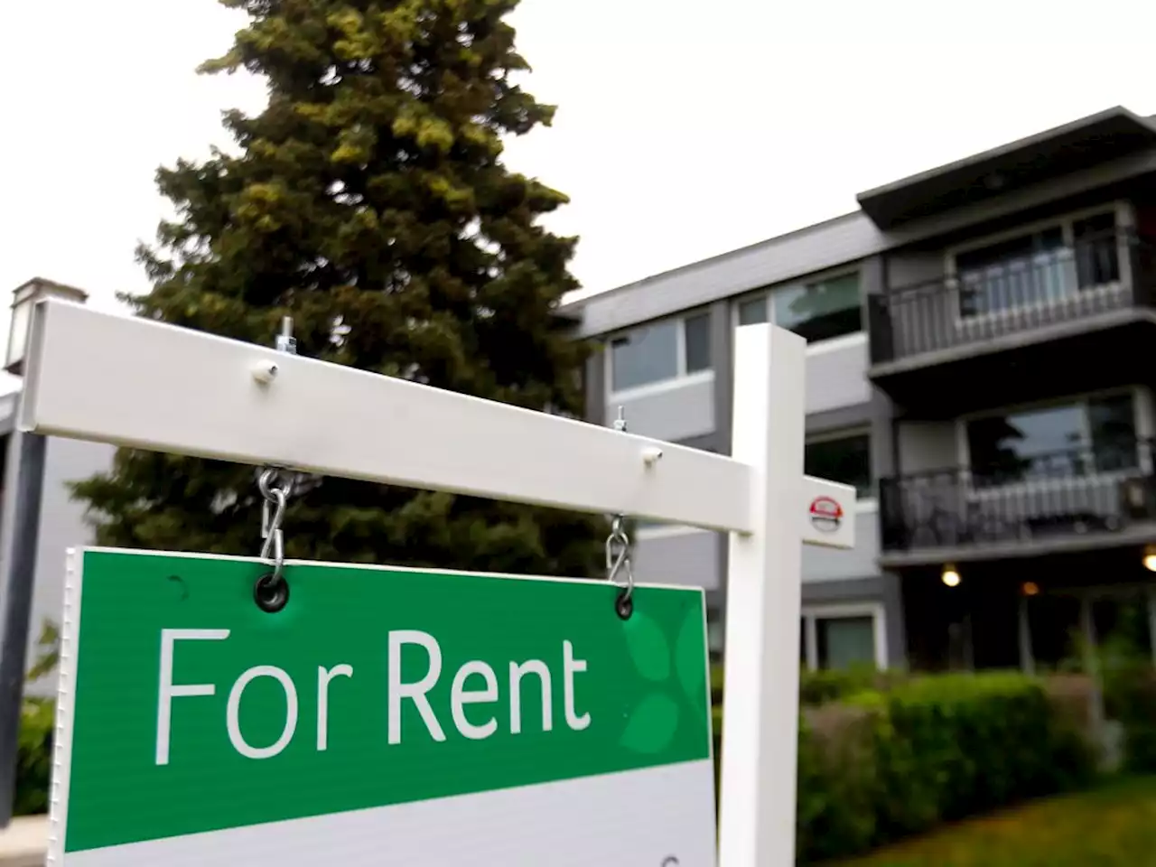 Demand for new rentals remains strong