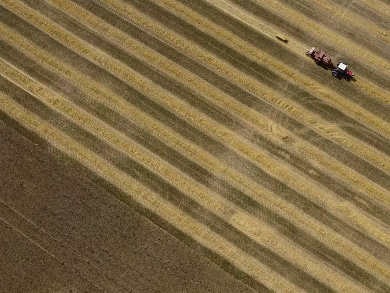 Fertilizer greenhouse gas cuts may take longer than Ottawa wants, farm groups say