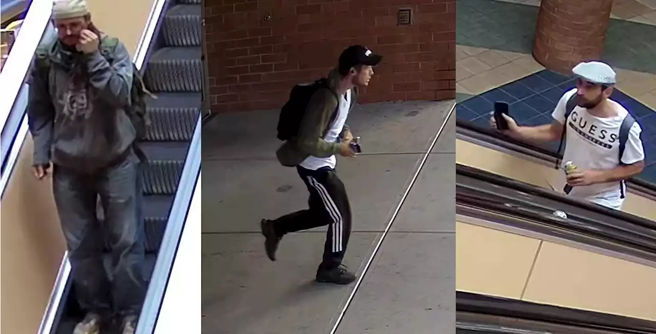 Police seek suspects who stole $4,000 worth of cellphones from Saanich mall