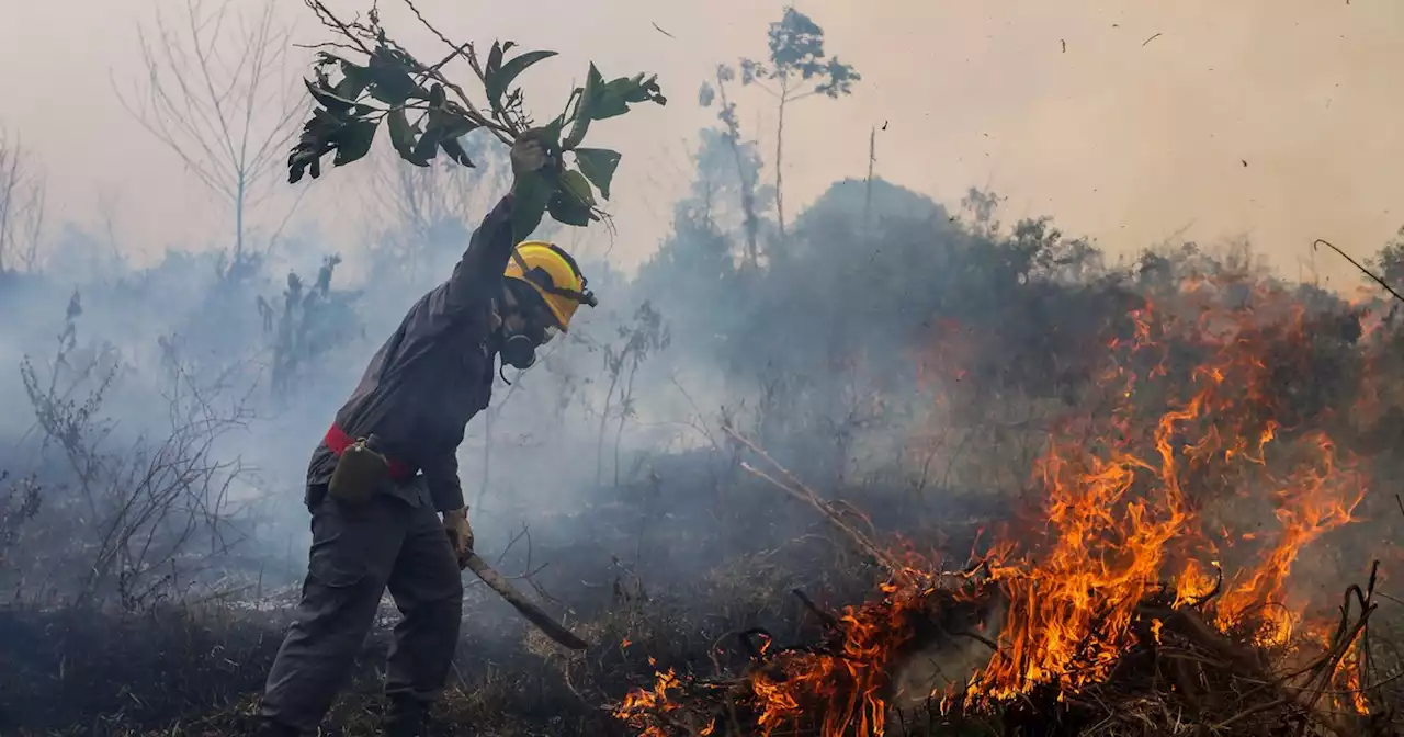 Bolsonaro Drove Brazil's 2021 Emissions to Highest Level in Nearly Two Decades