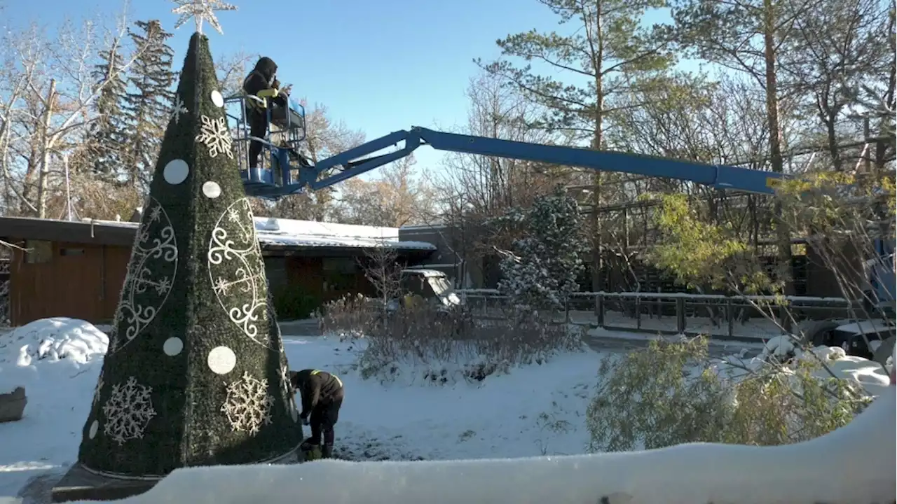 Calgary Zoo staff putting finishing touches on 2022 Christmas light display