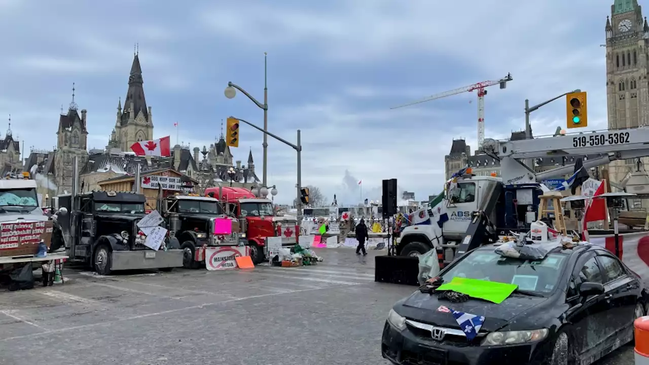 Ottawa police launch internal probe into inquiry testimony that police leaked information to protesters