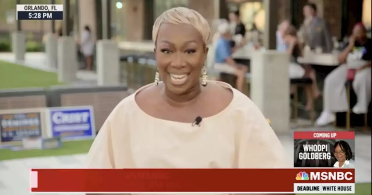 WATCH: Joy Reid claims Republicans 'taught people the word inflation'