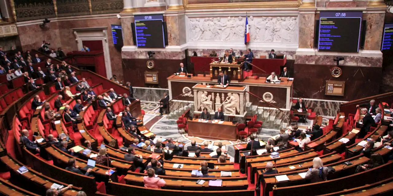 Accusation de racisme : l'Assemblée nationale exclut pour 15 jours le député RN de Fournas