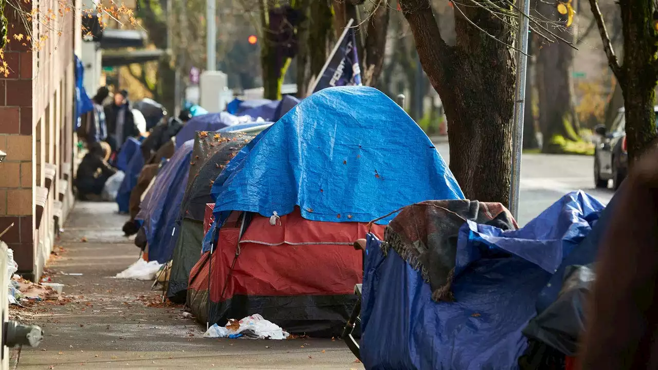 Portland city council votes to ban homeless camps, approve new housing project: report