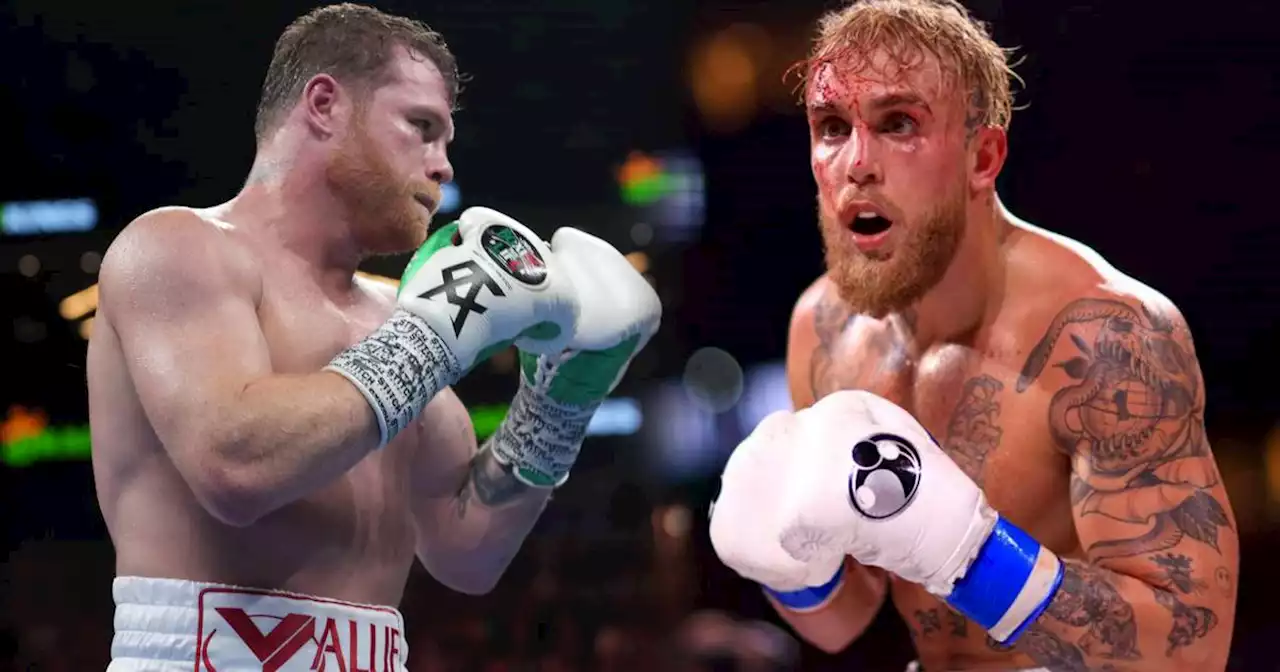 ‘Canelo’ vs. Jake Paul: La opinión de Robert Garcia sobre el posible enfrentamiento entre campeón y youtuber