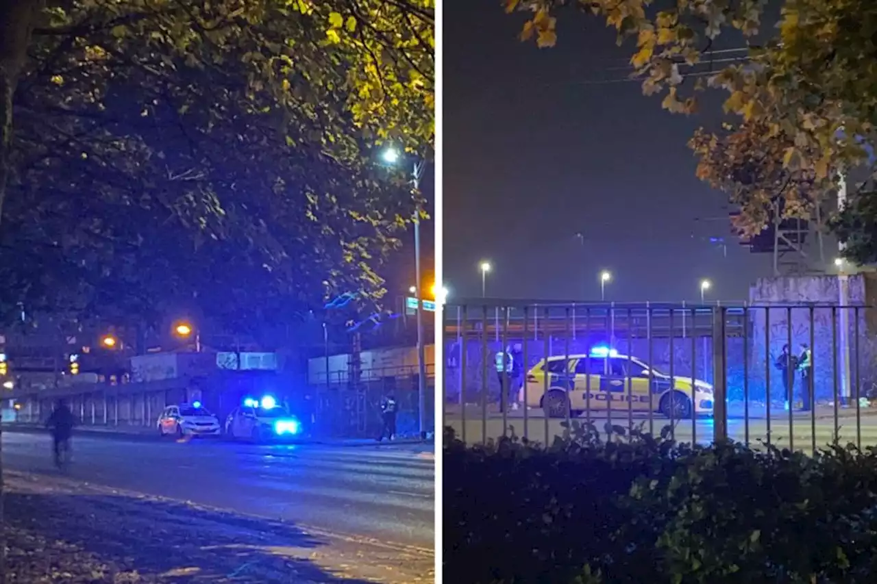 Cops called to 'disturbance' in Glasgow's Southside