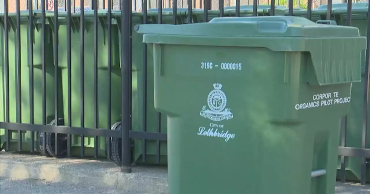 First phase of curbside organics program diverts over 200,000 kg of Lethbridge waste: report - Lethbridge | Globalnews.ca