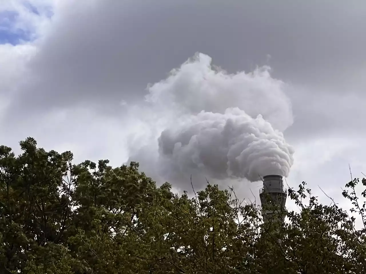 Expertenrat für Klimafragen: Fortschritte in Deutschland reichen lange nicht