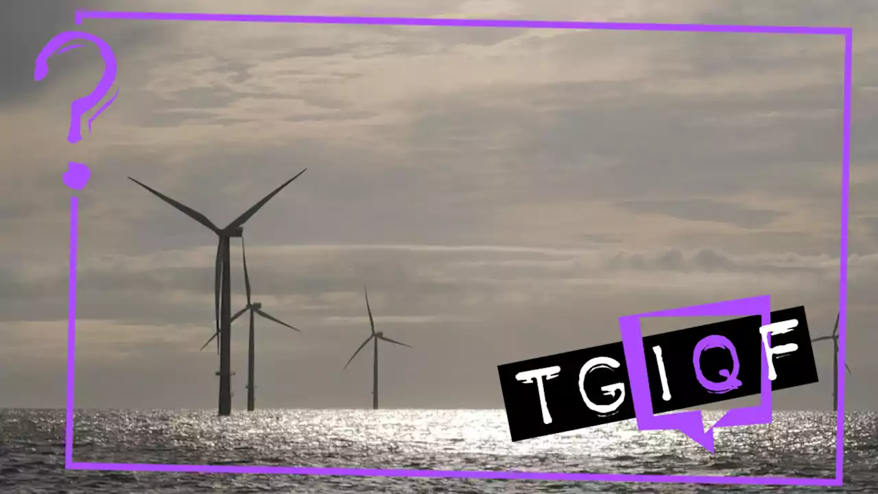 #TGIQF – das Quiz zur Windenergie, Netzausbau und Energiewende