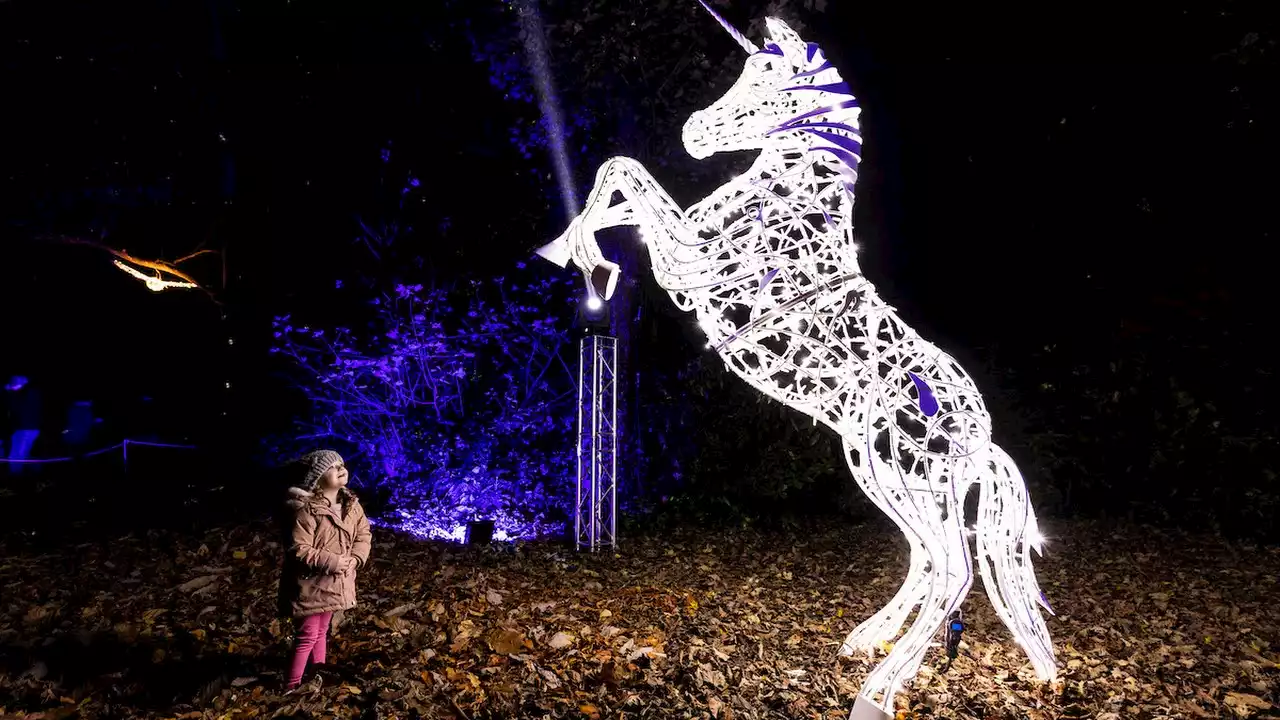 November Event Guide: From food festivals to light displays, here’s what's happening around Ireland this month | IMAGE.ie