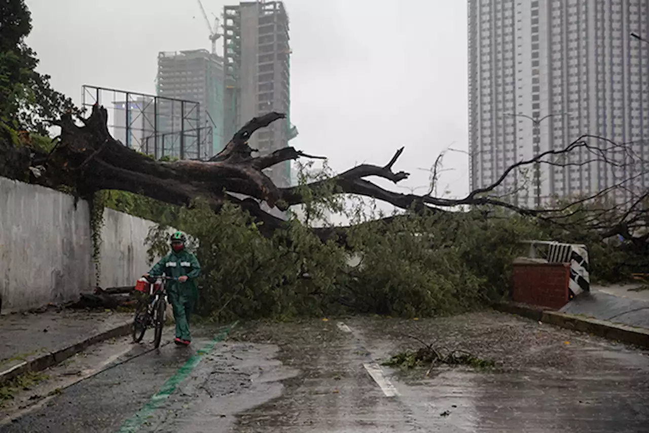 Rundown: Tropical storms, depression with high death tolls in Philippine history