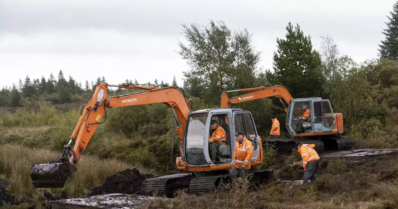 Search of Monaghan bog for 1975 IRA victim Columba McVeigh paused for winter