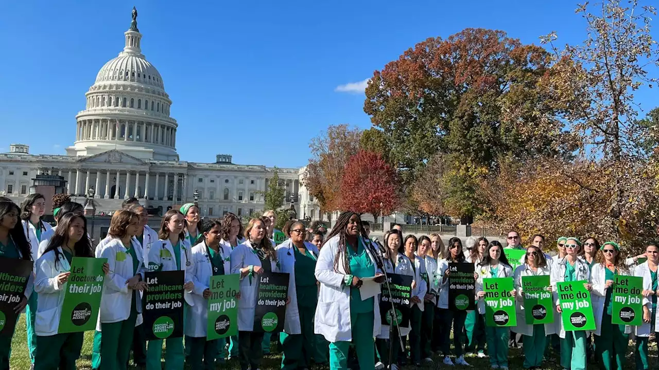 Abortion Providers Protest at the Capitol: 'Let Us Do Our Jobs'