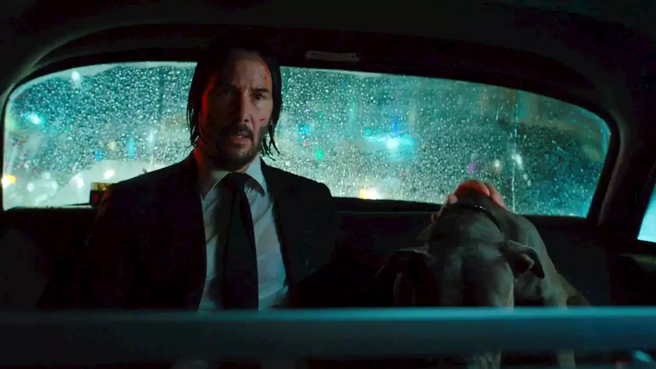 Kein Karriere-Meilenstein: „John Wick 4“-Star Keanu Reeves steigt aus Mega-Projekt aus