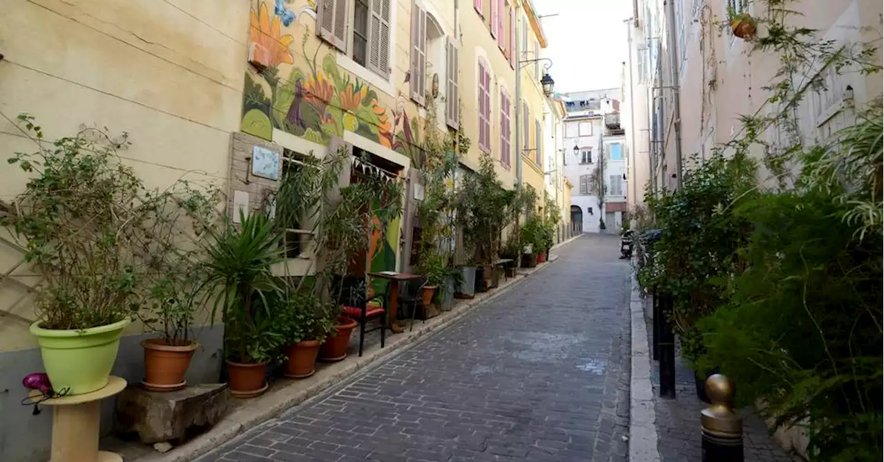 'Rue jardin', sobriété : la transition écologique au menu du conseil municipal de Marseille