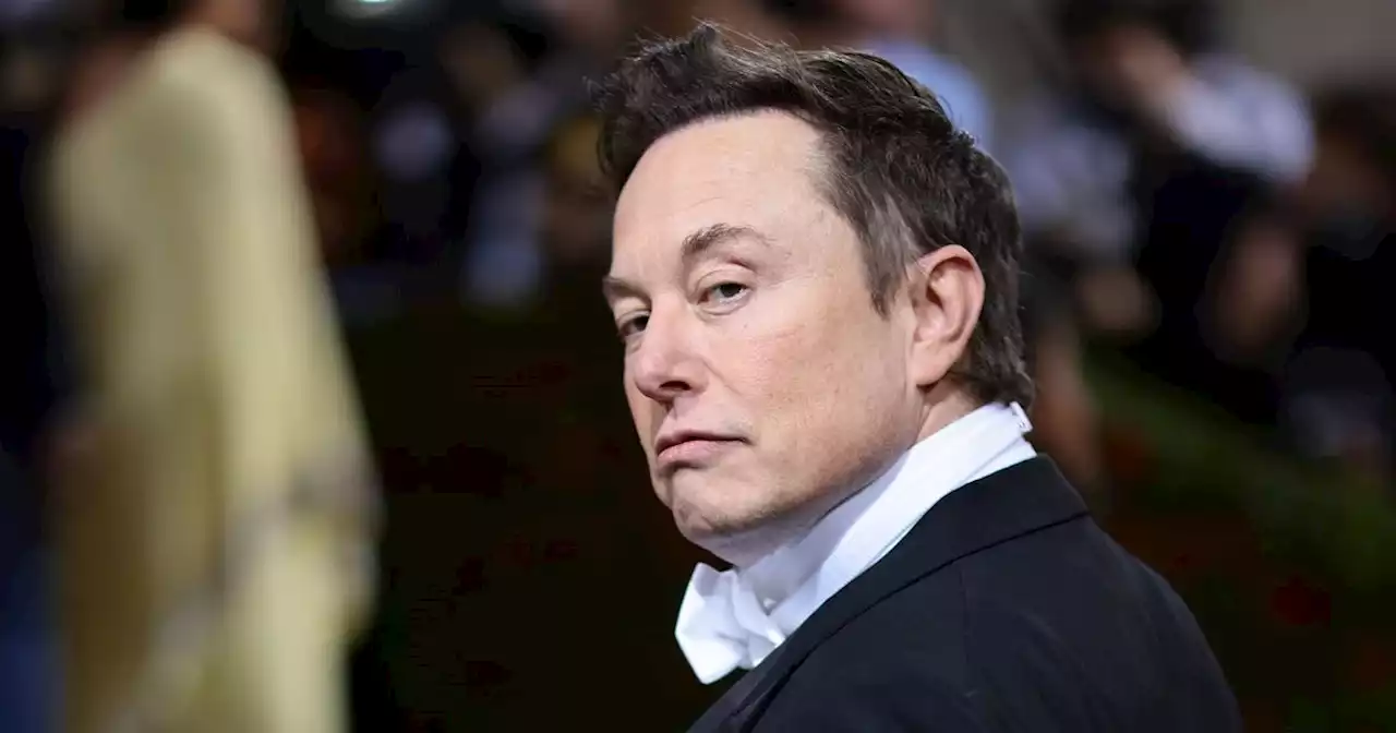 Twitter : Elon Musk ordonne aux employés de trouver des solutions pour faire des économies