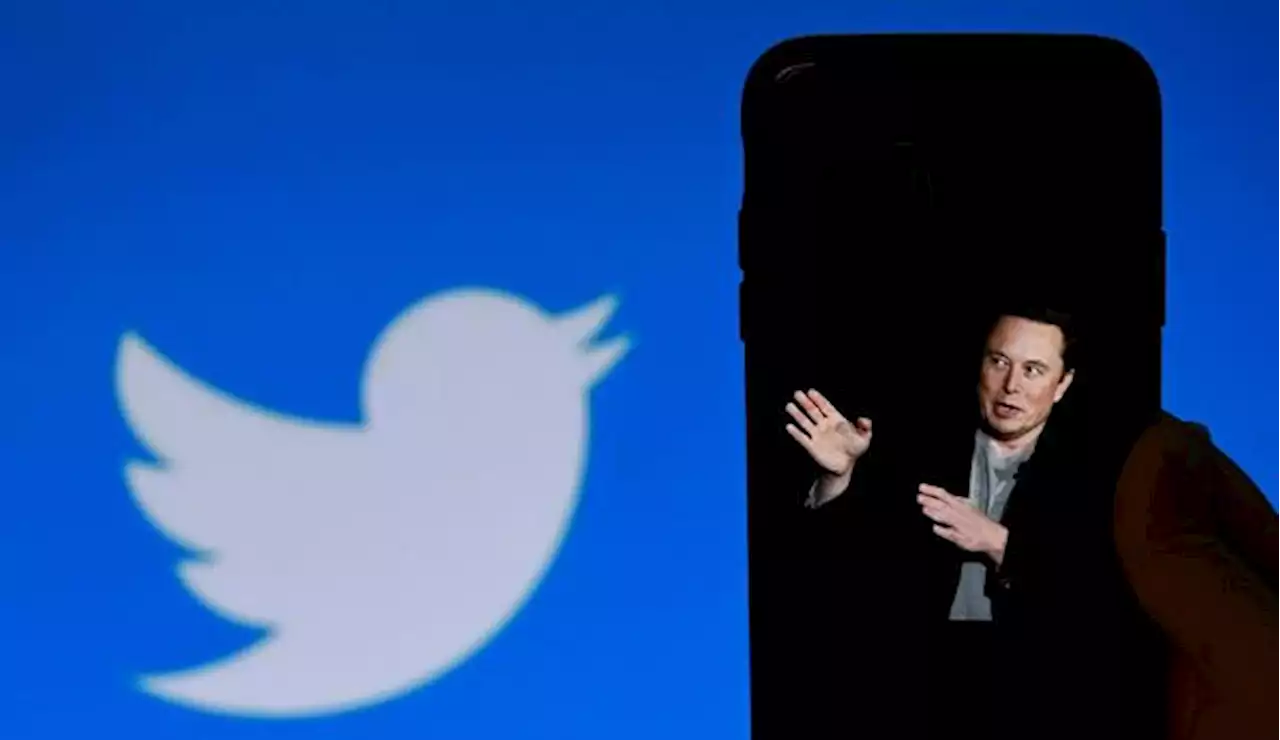 'Ne cédez pas à la panique' : Elon Musk opère des licenciements massifs chez Twitter