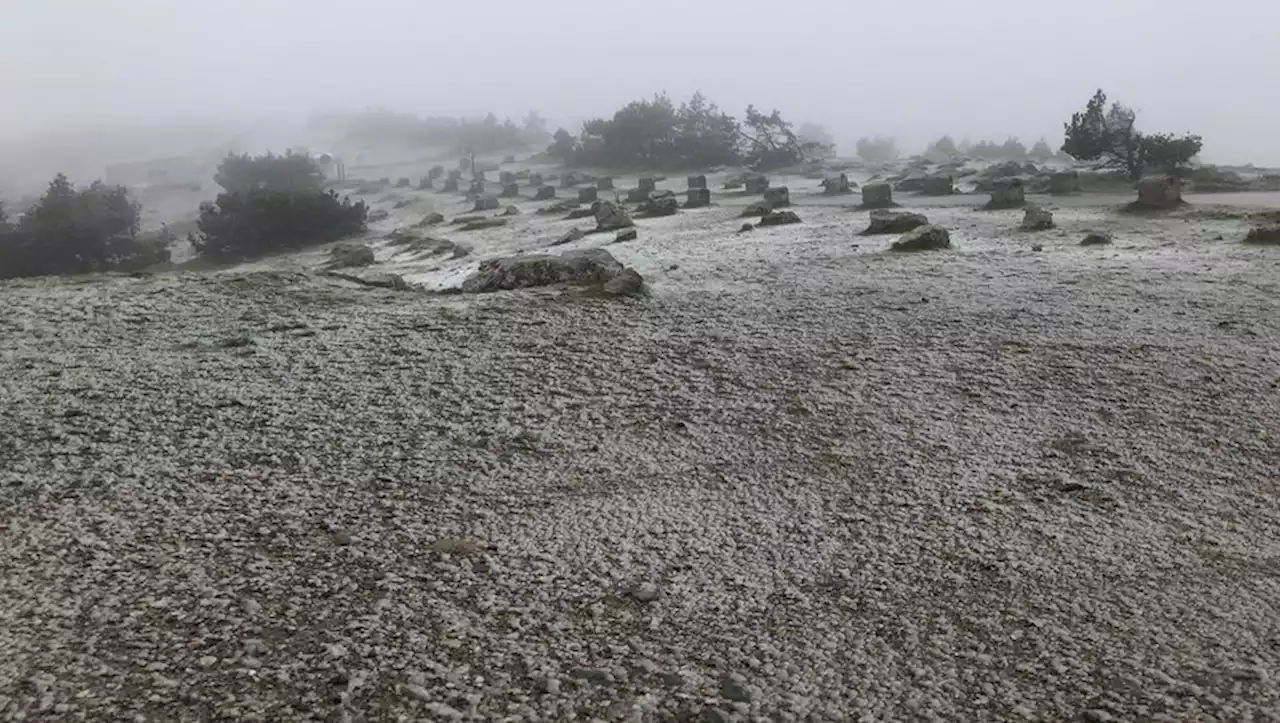 Météo : découvrez en images les premiers flocons tombés ce vendredi en Occitanie