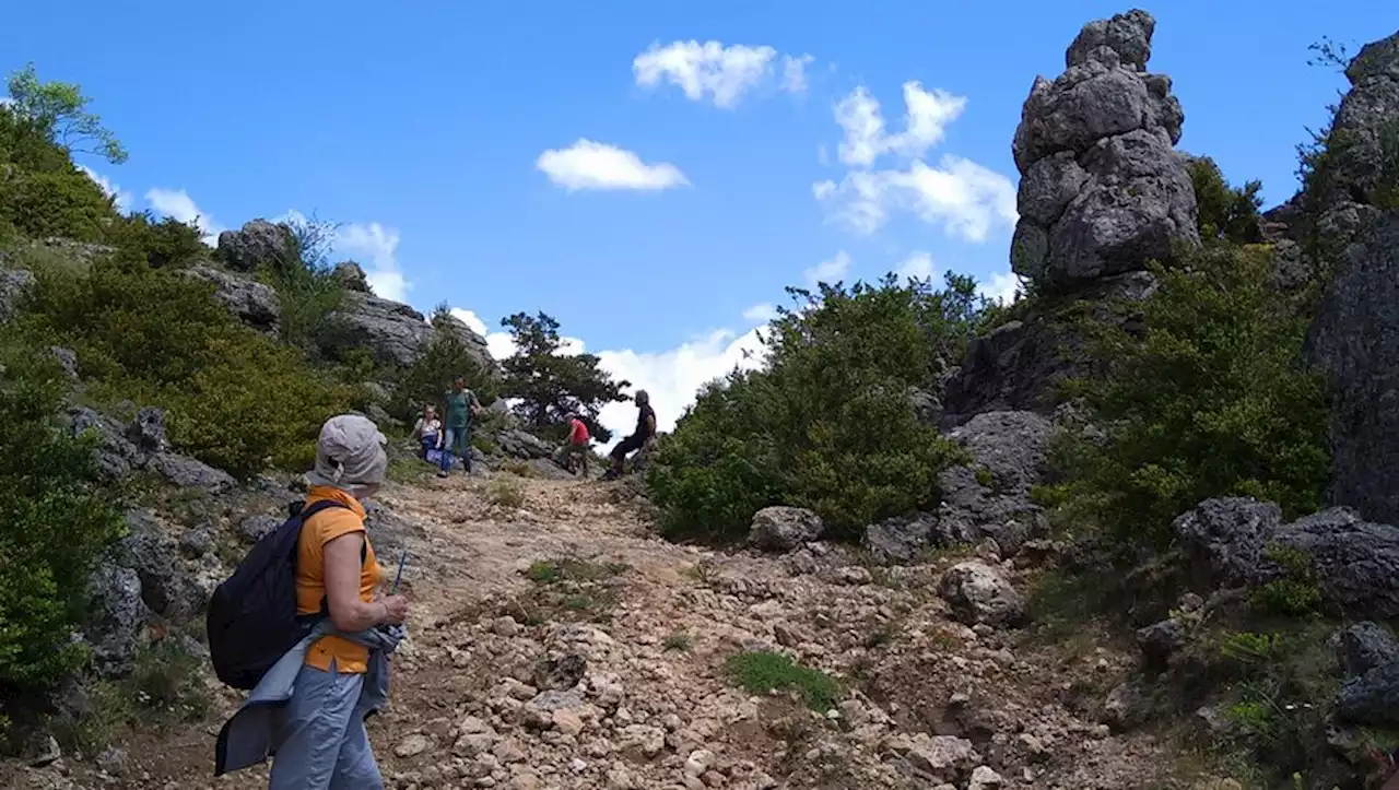 Week-end évasion en Sud-Aveyron : une randonnée dans les pas des brebis sur le Larzac