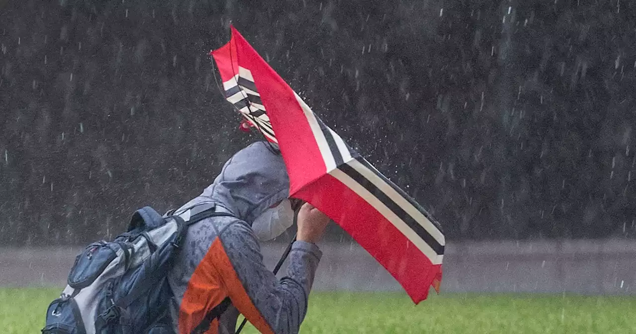 Millions experiencing record warmth for November but the temperatures may fuel severe storms and tornadoes