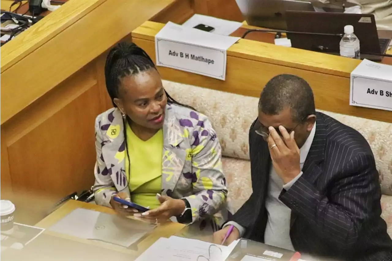 How Mkhwebane forked out millions to advocates who shared her political interests | News24