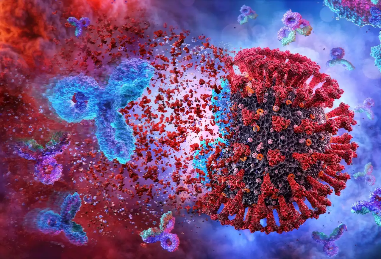 Novel monoclonal antibodies NA8 and NE12 can neutralize most SARS-CoV-2 variants and Omicron subvariants