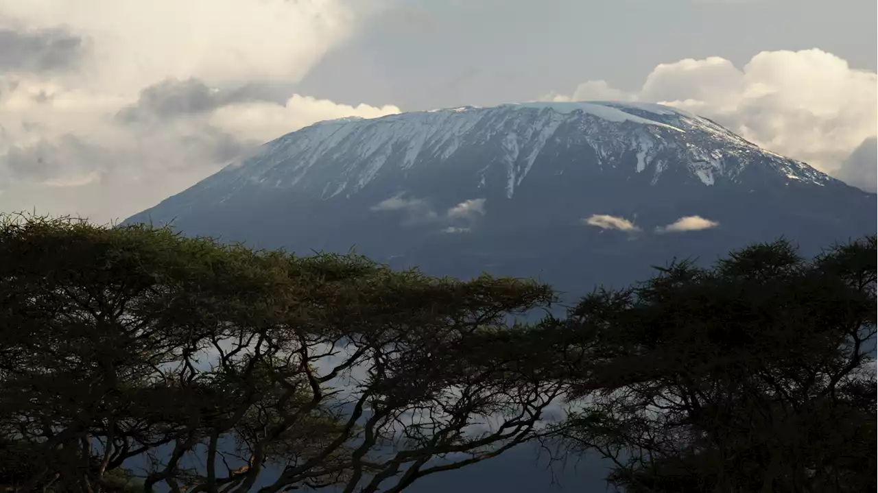 Glaciers from Yellowstone to Kilimanjaro are predicted to disappear by 2050