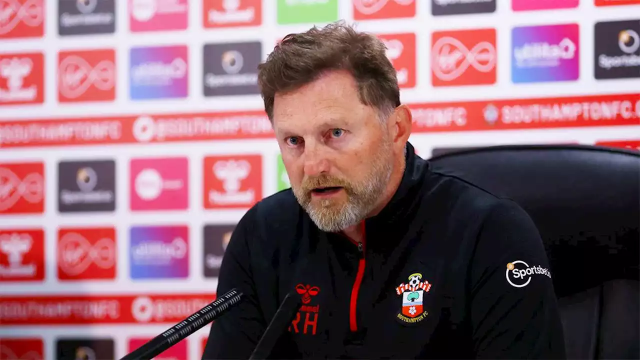 Ralph Hasenhuttl admits Newcastle United are now moving onto a different level than Southampton