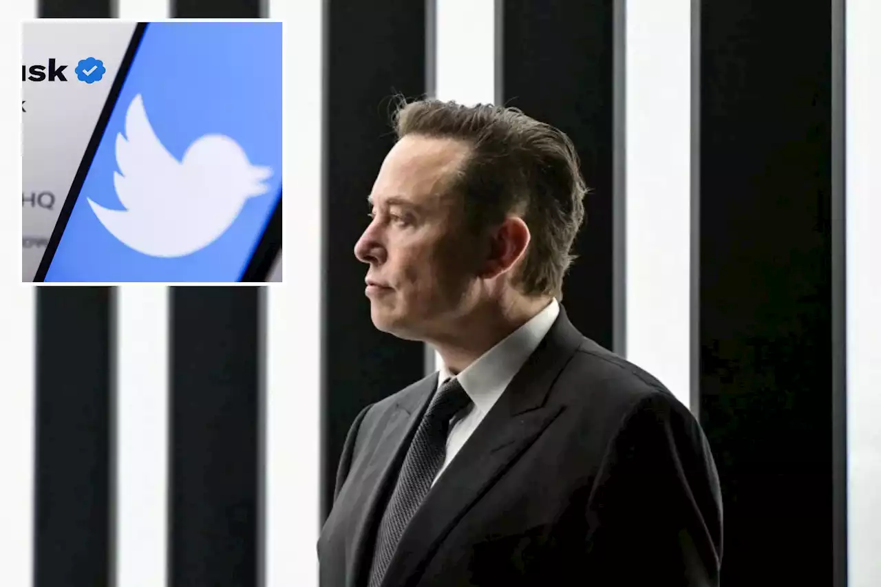 ‘Unfortunately necessary’: Mass layoffs begin at Twitter under new CEO Elon Musk