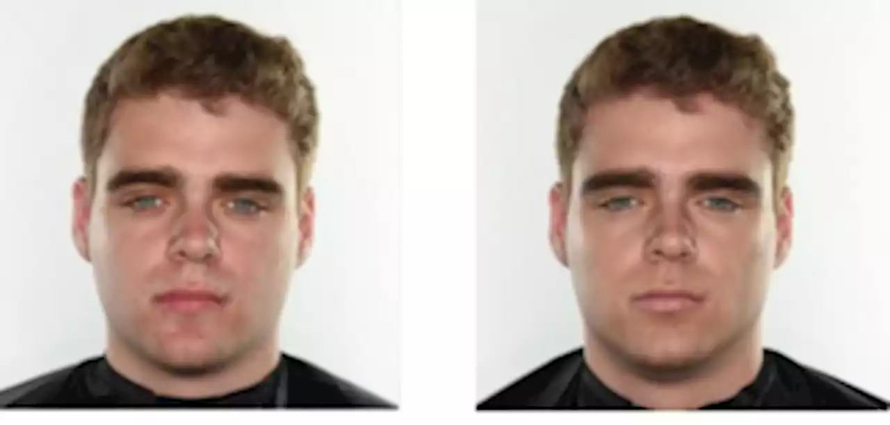 Makeup increases attractiveness in male faces