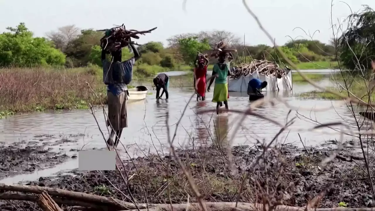 Two thirds of South Sudan population risk severe hunger in 2023 - U.N.