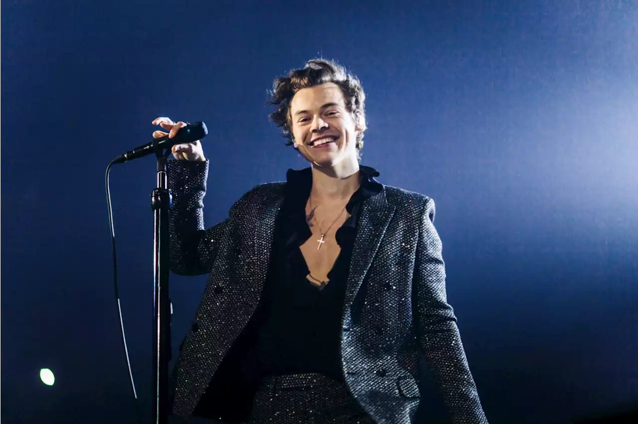 Harry Styles Los Angeles Concert Rescheduled 'Due to Band Illness'