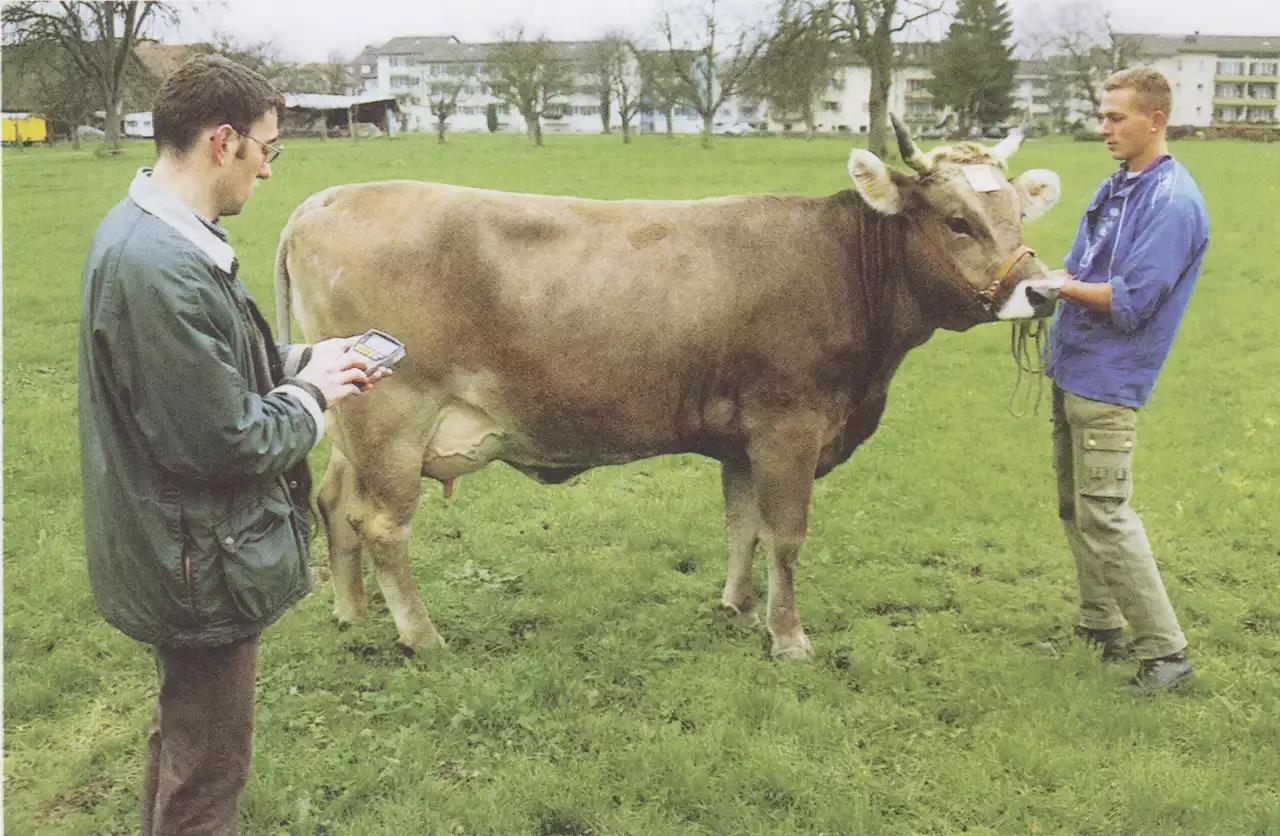 Der scharfe Blick der Experten hält Einzug - Schweizer Bauer